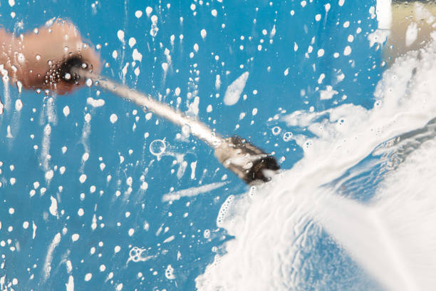 Animal Enclosure Cleaning in Magnolia Springs, AL